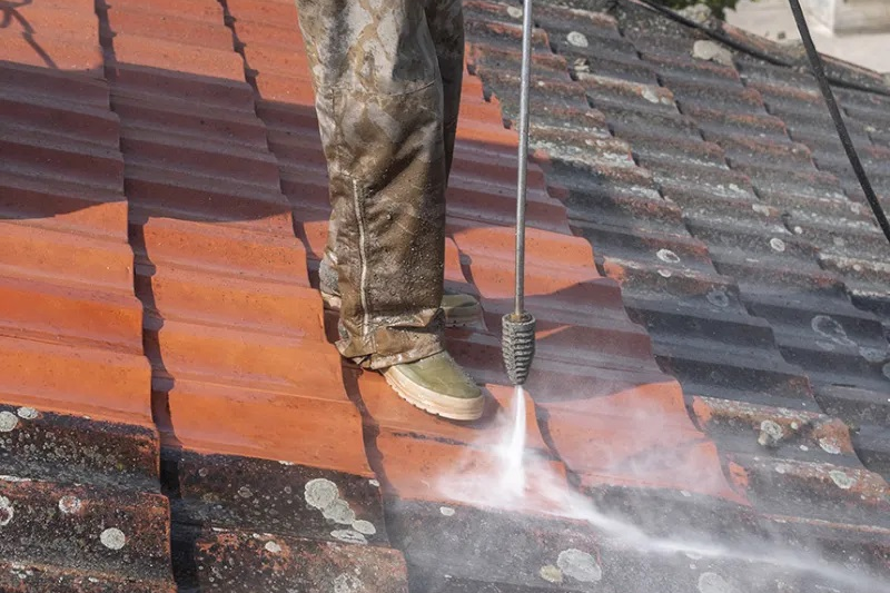 How To Remove Lichen From Metal Roof Sky High Roofing QLD
